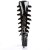 Pleaser Bota ADORE-2043 Negro Charol ElásticoEU-37 / US-7