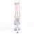 Pleaser STARDUST-1018C-2RS Plataforma Botines de Tobillo Transparente Rosa EU-35 / US-5