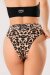 Shark Polewear Shorts Bali Leopardo S