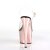 Pleaser Sandalia de Tacón ADORE-708 Transparente Oro Rosado Claro Metalizado EU-36 / US-6
