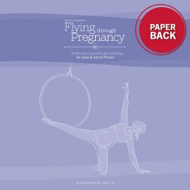 Libro Volando a través del Embarazo