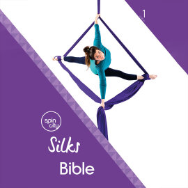 Livre Silks Bible 1ère édition - Anglais