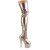 Pleaser ADORE-3000HWR Bota Alta Plataforma Holo Oro Rosado Claro