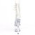 Pleaser ADORE-1021C Botín Plataforma Transparente EU-36 / US-6