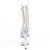 Pleaser ADORE-1021C-2 Botín Plataforma Metalizado Transparente EU-39 / US-9