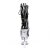 Pleaser FLASHDANCE-1020-7 Botín Plataforma Charol Negro Multicolor EU-35 / US-5