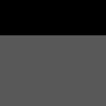 Gris / Negro