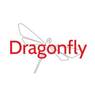 Dragonfly Logo rote Schrift auf grauer Libelle auf Weiß